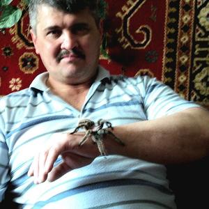 Радик Сулейманов, 56 лет, Набережные Челны