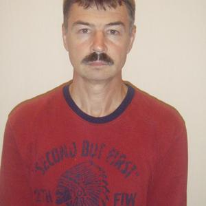 Владимир, 68 лет, Казань
