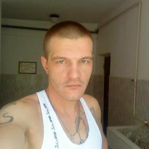 Николай, 37 лет, Волгоград