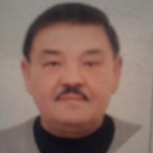 Альпик, 69 лет, Новосибирск