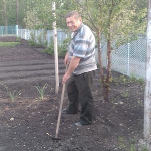 Парни в Ульяновске: Николай, 68 - ищет девушку из Ульяновска