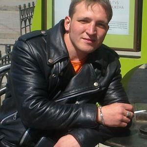 Толян, 36 лет, Владивосток