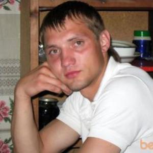Алексей, 41 год, Могилев