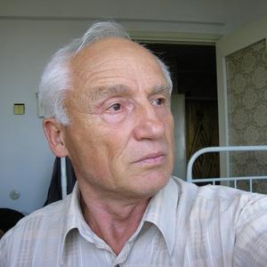 Nikolaisuptel, 83 года, Сочи
