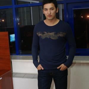 David, 39 лет, Ташкент