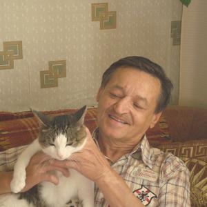 Николай, 64 года, Ижевск