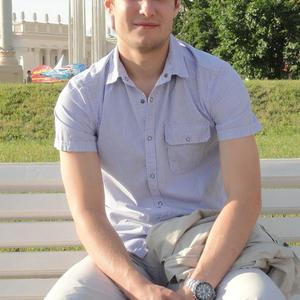 Александр, 35 лет, Мытищи