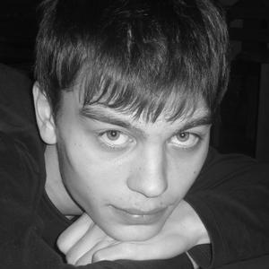 Ярослав, 35 лет, Томск