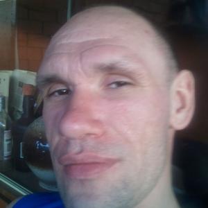 Владимир, 44 года, Краснодар