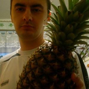 Андрей, 42 года, Белгород