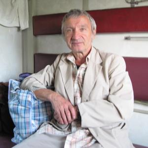 Владимир, 77 лет, Санкт-Петербург