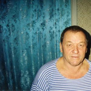 Владислав, 83 года, Железногорск