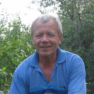 Вячеслав, 77 лет, Тольятти