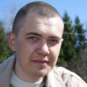 Андрей, 35 лет, Оса