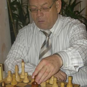 Юрий Шуганов, 85 лет, Уфа
