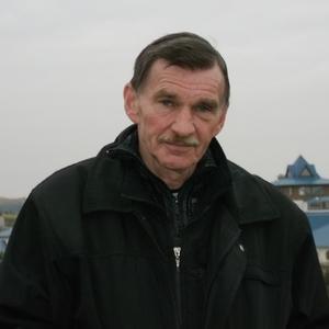 Николай, 63 года, Санкт-Петербург