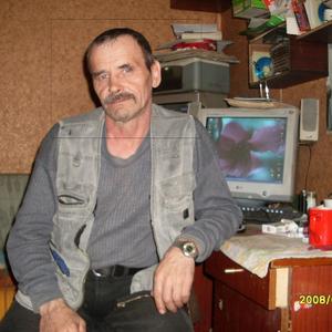 Анатолий, 68 лет, Сысерть