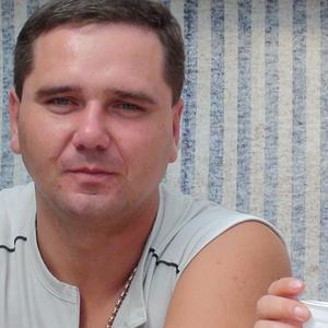 Владимир, 46 лет, Калининград