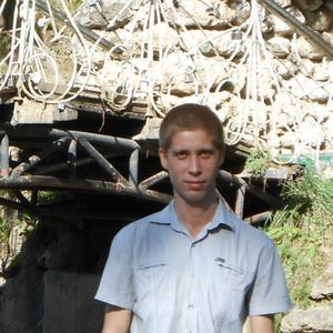 Дмитрий, 41 год, Краснодар