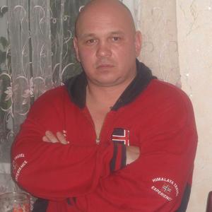 Владимир Кретов, 55 лет, Солнечногорск