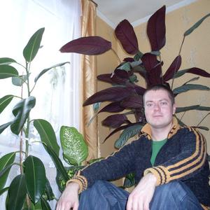 Денис, 41 год, Брянск