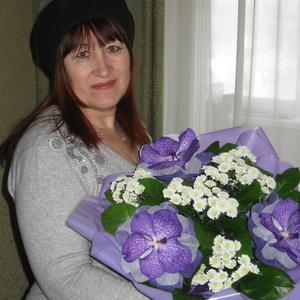 Валентина Дегтерева, 64 года, Сергиев Посад