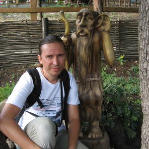 Владимир, 49 лет, Таганрог