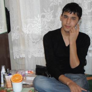 Akmal, 33 года, Самарканд