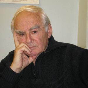 Юрий Иванович, 86 лет, Истра