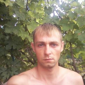 Парни в Ейске: Сергей, 37 - ищет девушку из Ейска