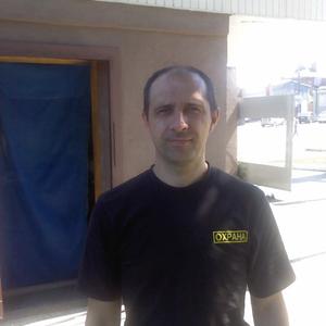 Дмитрий, 53 года, Тула
