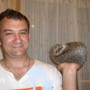 Николай, 53 года, Тюмень