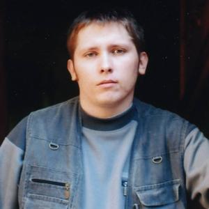 Владимир, 43 года, Курск