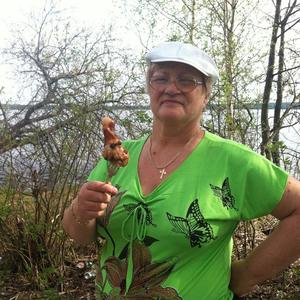 Девушки в Тейково: Светлана, 72 - ищет парня из Тейково