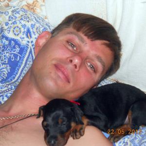 Алексей, 47 лет, Камышин