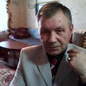 Геннадий, 77 лет, Тобольск