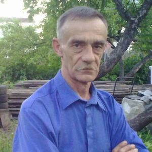 Игорь, 74 года, Брянск
