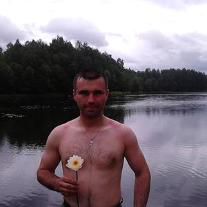 Максим, 42 года, Рыбинск