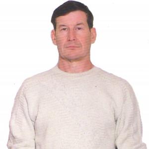 Владимир, 65 лет, Ижевск