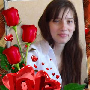Стелла, 33 года, Томск