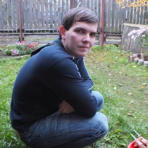 Михаил, 35 лет, Александров