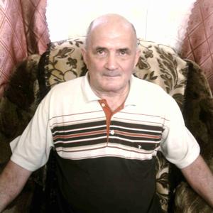 Анатолий, 76 лет, Тула