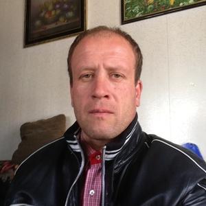 Дмитрий , 53 года, Электросталь