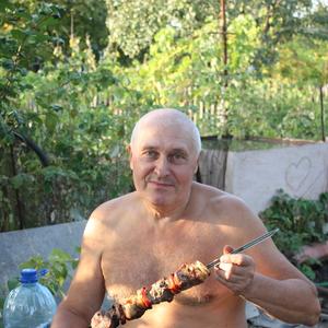 Анатолий, 76 лет, Ростов-на-Дону