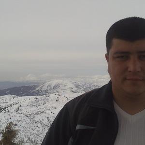 Jahongir, 36 лет, Ташкент