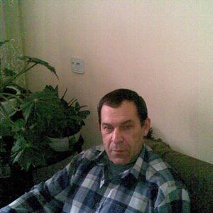 Владимр, 73 года, Кемерово