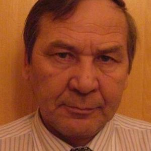 Владимир, 71 год, Болотное