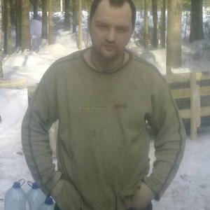 Владимир, 43 года, Тихвин