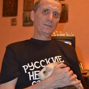Борис, 66 лет, Псков