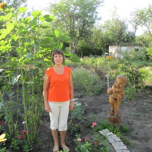 Наталья, 64 года, Воронеж